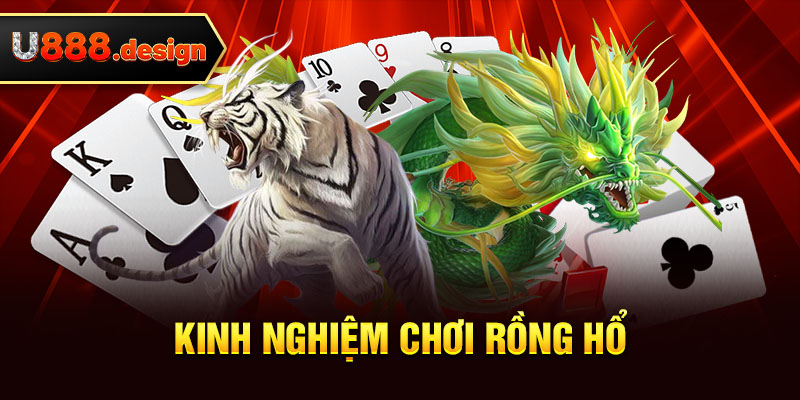  Kinh nghiệm chơi rồng hổ